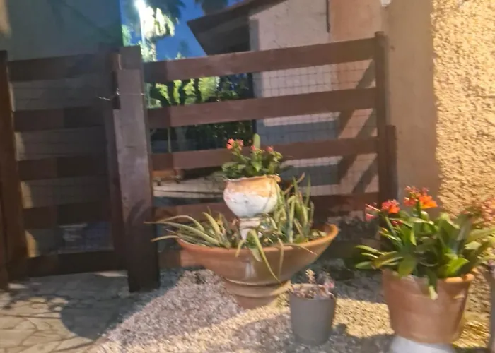 Dad's House Apartment